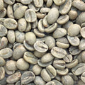 Green coffee - Dominican Republic: Washed 1lb