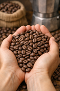 Honey processed - Dominican Republic 12oz