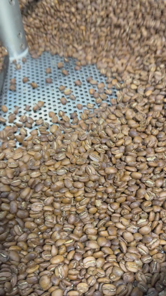 Organic Coffee - Dominican Republic